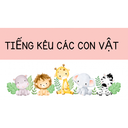 Bài 5: Thiết kế hình ảnh